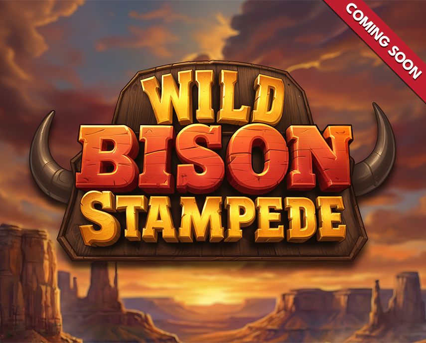 Wild Bison Stampede image
